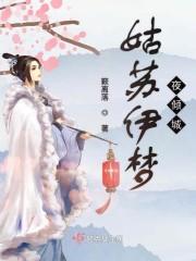 姑蘇伊夢(mèng)夜傾城封面