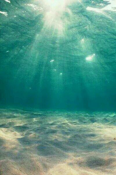 都末世了，囤一點(diǎn)點(diǎn)女神很合理吧陳默封面