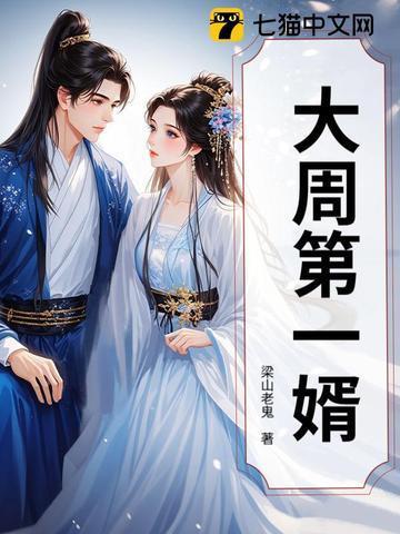 大周第一婿封面