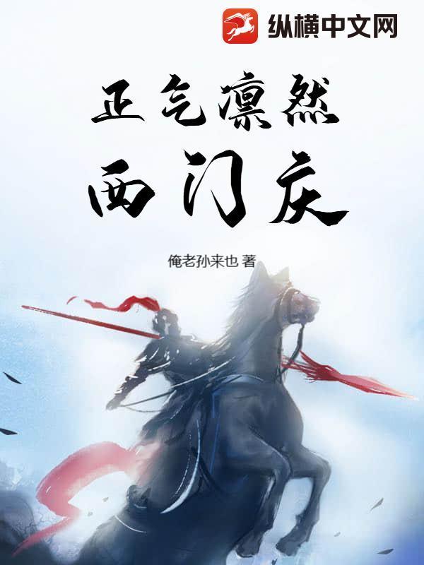 正氣凜然西門慶封面