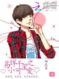 大明醫(yī)圣封面