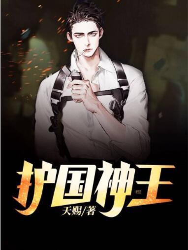 護(hù)國神王封面