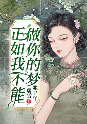 正如我不能做你的夢封面