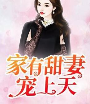 家有甜妻寵上天封面
