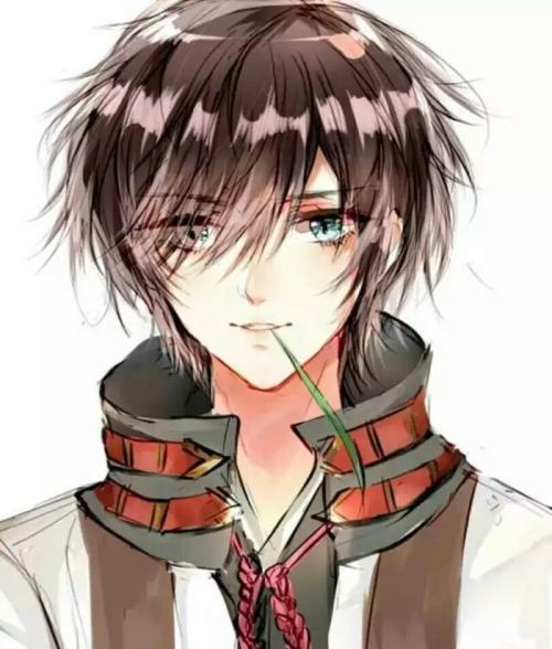 帶崽離開后，傲嬌家主追妻火葬場免費小說封面